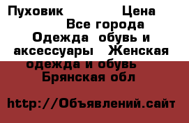 Пуховик Tom Farr › Цена ­ 6 000 - Все города Одежда, обувь и аксессуары » Женская одежда и обувь   . Брянская обл.